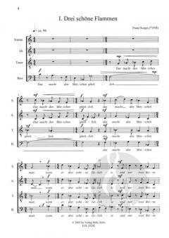 Tief-schürfende' Poesie (Franz Surges) 