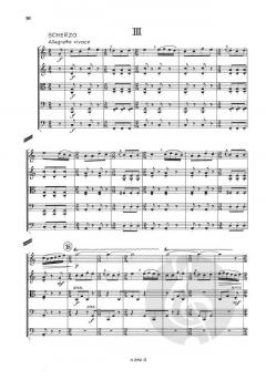 Partita für Streichorchester von Richard Rudolf Klein im Alle Noten Shop kaufen (Partitur)