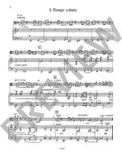 Thema mit Variationen von Hans-Klaus Langer für Viola und Klavier im Alle Noten Shop kaufen