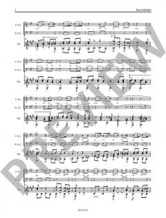 Das Dörfchen (Bürger) op. 11/1 D. 598b (Franz Schubert) 