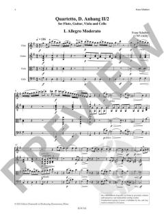 Quartetto nach Matiegka's Notturno op. 21 D 96 (Franz Schubert) 