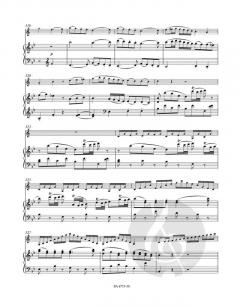 Konzert für Klarinette und Orchester KV 622 von Wolfgang Amadeus Mozart 