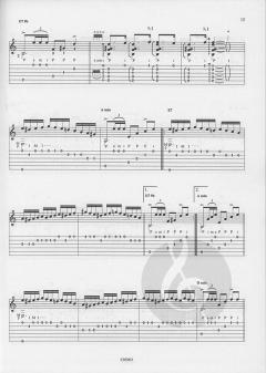 Duende flamenco Vol. 5A von Claude Worms 