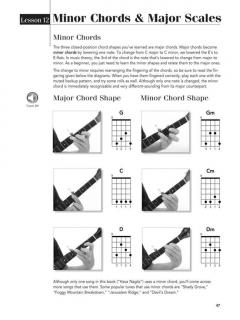 Play Banjo Today! Beginner's Pack Level 1 im Alle Noten Shop kaufen
