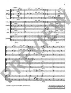 Concerto grosso e-Moll TWV 52:e2 von Georg Philipp Telemann 