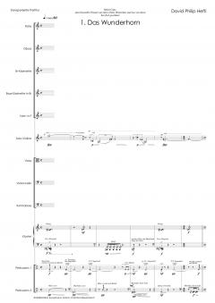 Wunderhorn-Musik (David Philip Hefti) 
