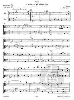 That's Klezmer (Ergänzungsstimme Viola) von Peter Przystaniak 