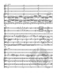 Konzert Nr. 2 Es-Dur KV 417 von Wolfgang Amadeus Mozart (Download) 