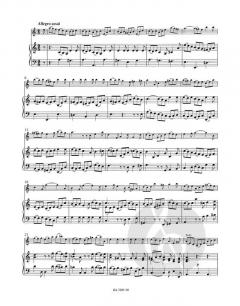 Konzert a-Moll BWV 1041 von Johann Sebastian Bach (Download) 