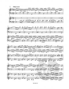 Concerto g-Moll BWV 1058 von Johann Sebastian Bach (Download) 