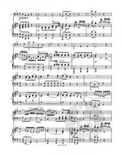 Konzert Nr. 5 D-Dur KV 175, Rondo D-Dur KV 382 von Wolfgang Amadeus Mozart (Download) 