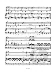 Concertone C-Dur KV 190 von Wolfgang Amadeus Mozart 