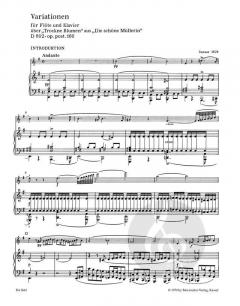 Variationen D 802 op. post.160 von Franz Schubert (Download) 