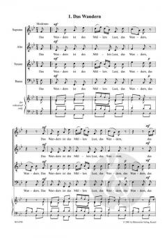 Die schöne Müllerin (Franz Schubert) 