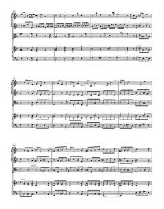 Concerto a quattro TWV 43:d 4 (Georg Philipp Telemann) 