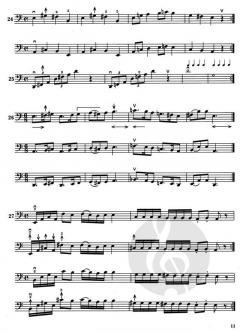 Einführung in das Lagenspiel von Anna Marton (Download) 