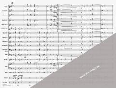 Hawaii Five-O Theme von Morton Stevens (Download) 
