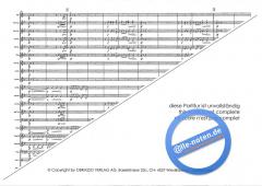Rock The Funk (Alan Fernie) 