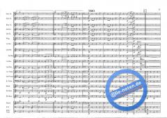 Mountain Sounds (S. Jaeggi) 