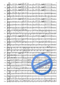 The Red And Blue Shield (Hans J. Honegger) 