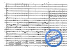 Concerto For Two Trumpets (Antonio Vivaldi) 