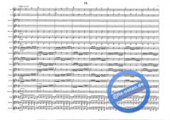 Concerto For Two Trumpets (Antonio Vivaldi) 