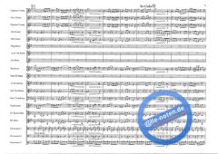 Basso Brazilio (Roy Newsome) 