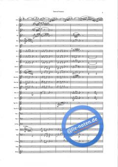 Theme And Variations (Ray Woodfield) 