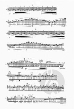 Manic Psychosis I for Flute solo von Kawashima, Motoharu (Download) 