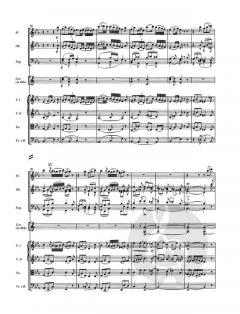 Sinfonie Nr. 5 D 485 von Franz Schubert 