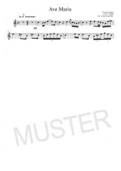 Alte Meister 