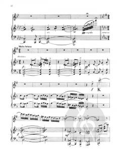 Sonata Capriccioso von Eric Hughes 