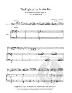 Flight Of The Bumblebee (Nikolai Rimski-Korsakow) 