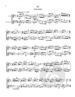 Serenata Notturno von Alan Ridout für Holzbläser Duo im Alle Noten Shop kaufen