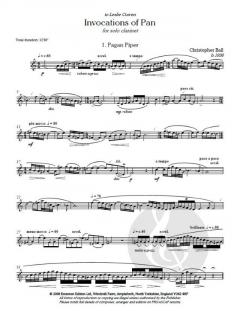 Invocations Of Pan von Christopher Ball 