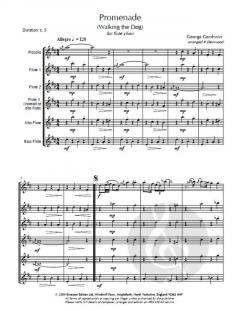 Promenade von George Gershwin 
