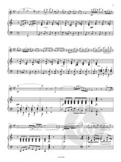 Sonate Arpeggione en la Mineur D 821 von Franz Schubert 