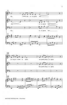 Solitary Winter Star von Jerry Estes (Download) 