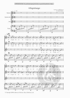 Adiemus V: Vocalise (Karl Jenkins) 