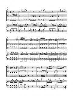 Konzert C-dur Hob. XVIII:10 (Joseph Haydn) 