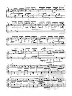 Paganini-Etüden op. 3 und op. 10 von Robert Schumann 