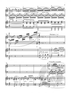 Klavierkonzert a-moll op. 16 von Edvard Grieg im Alle Noten Shop kaufen