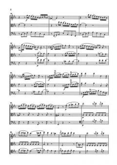 Divertimento KV 563 und Fragment G-Dur KV Anh. 66 von Wolfgang Amadeus Mozart für Violine, Viola und Violoncello im Alle Noten Shop kaufen