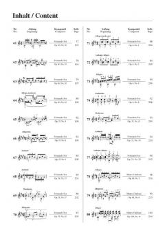 Die 100 wichtigsten Etüden für klassische Gitarre 