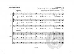 Passauer Chorbuch 