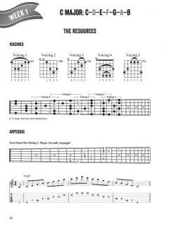 Fretboard Freedom von Troy Nelson 