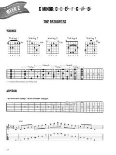 Fretboard Freedom von Troy Nelson 
