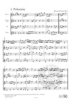 Das Blockflötenquartett 2 (Rudolf Schäfer) 