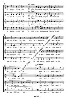 Es blüht eine Rose zur Weihnachtszeit (Robert Stolz) 
