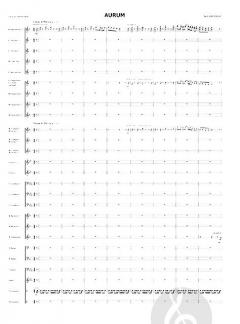 Aurum (Fanfarenorchester) von Bert Appermont 
